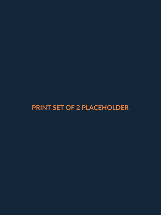 set of two matching framed surf prints for a gallery wall — placeholder